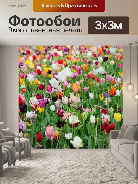 Фотообои Тюльпаны