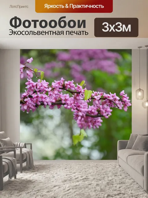 Фотообои Китайские красные бутоны