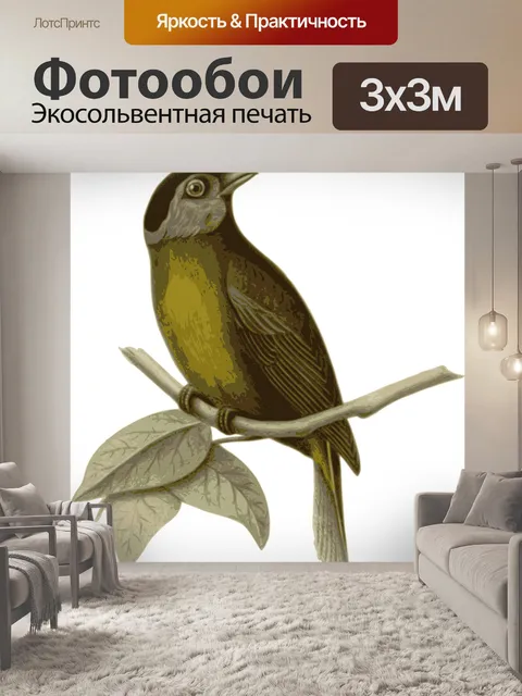 Фотообои Птица