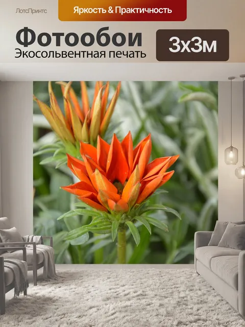 Фотообои Цветы