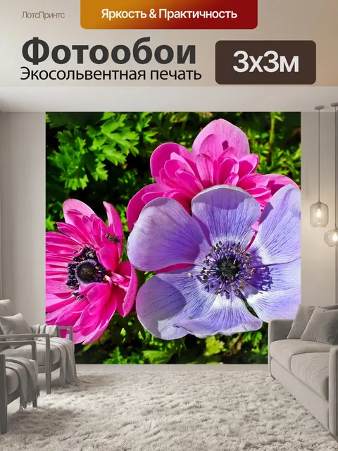 Фотообои Анемоны