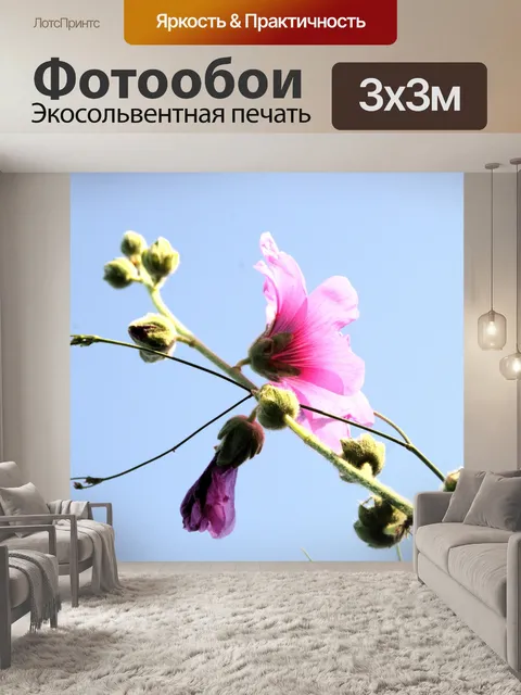 Фотообои Холлихокс цветы от вид сбоку