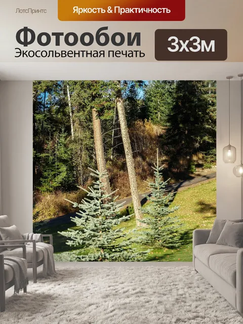 Фотообои Елей