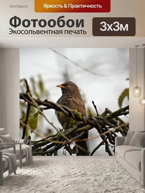 Фотообои Птица