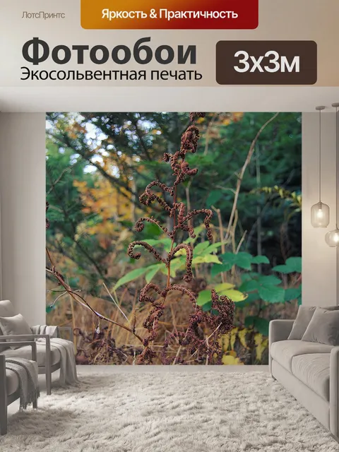 Фотообои Лес