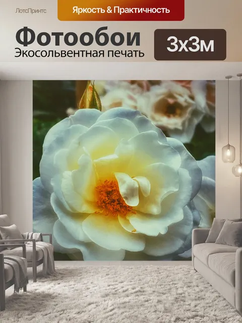 Фотообои Цветок