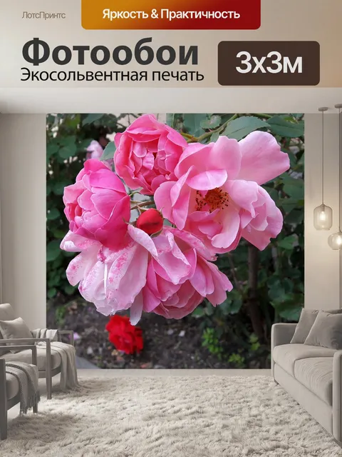 Фотообои Рось