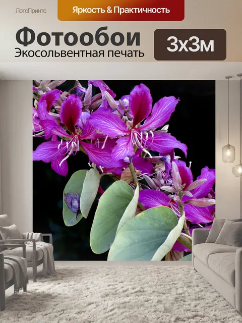 Фотообои Темно-розовый цветок Тропический
