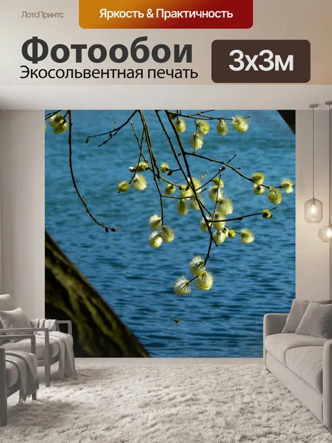 Фотообои Ива