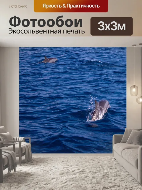 Фотообои Дельфин