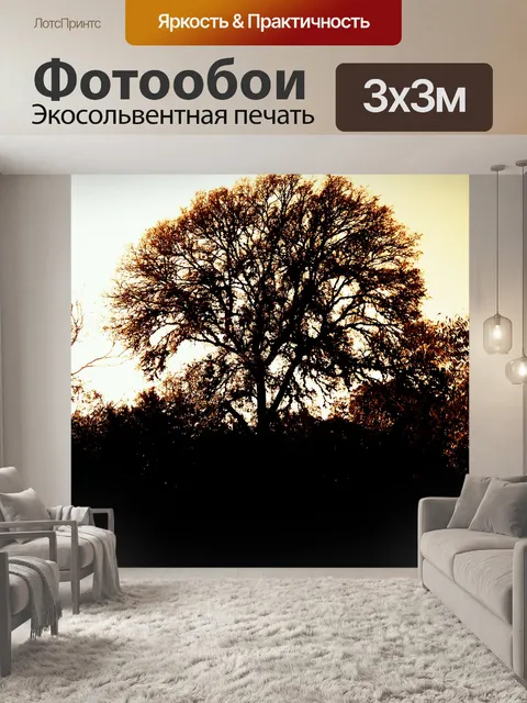 Фотообои Одноместный силуэт дерева