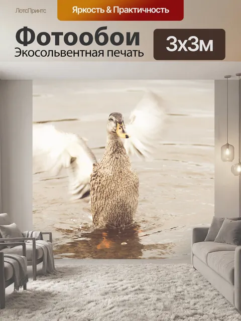 Фотообои Утка взмахивая крыльями