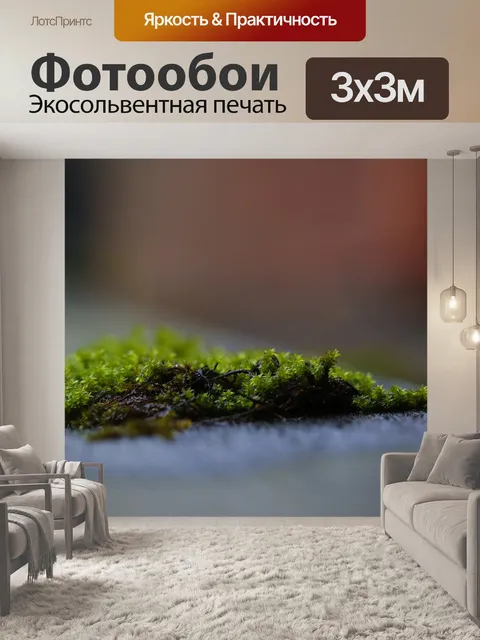Фотообои Мох
