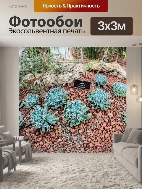 Фотообои Ботанический сад королевы Сирикит