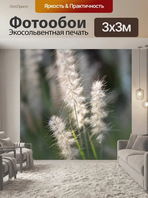 Фотообои Декоративные травы
