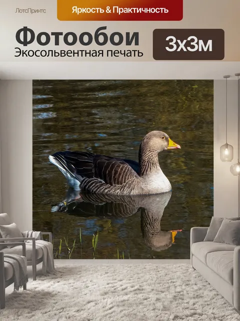 Фотообои Птица