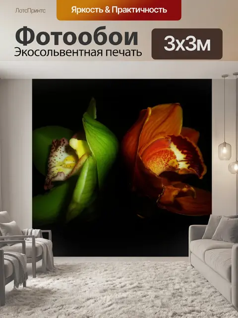 Фотообои Орхидея