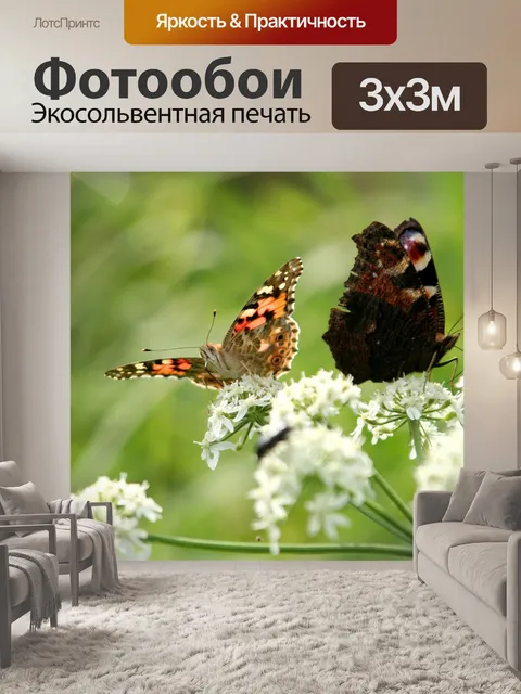 Фотообои Бабочки