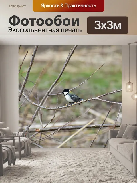 Фотообои Животное