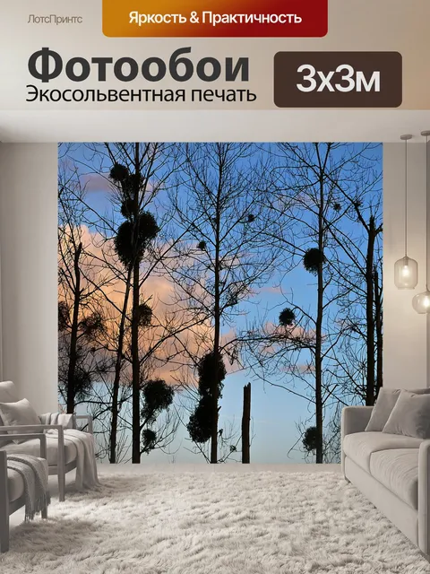 Фотообои Силуэты