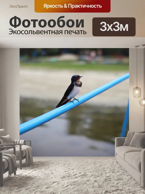 Фотообои Ласточка