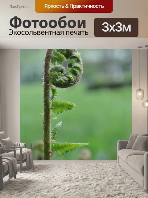 Фотообои Лес