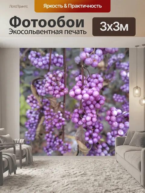 Фотообои Природа
