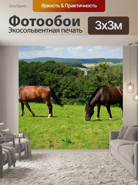 Фотообои Лошади