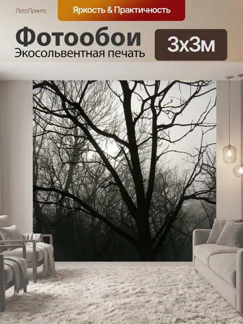 Фотообои Природа