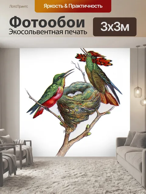 Фотообои Иллюстрация винтажного искусства птиц