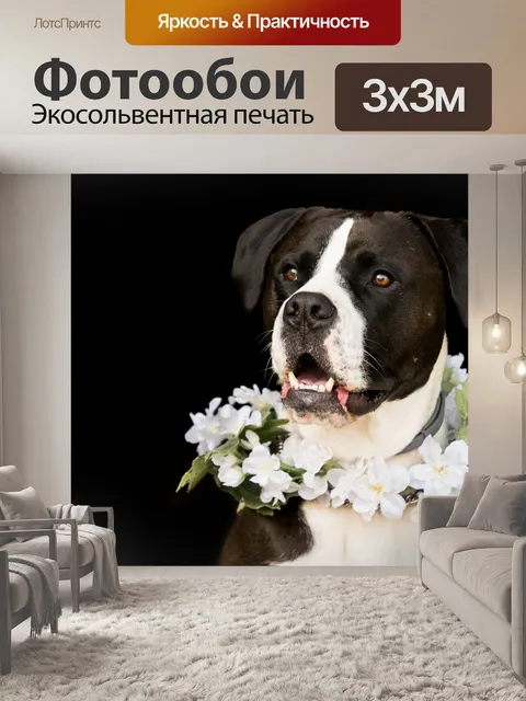 Фотообои Собака
