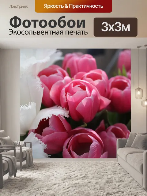 Фотообои Тюльпаны