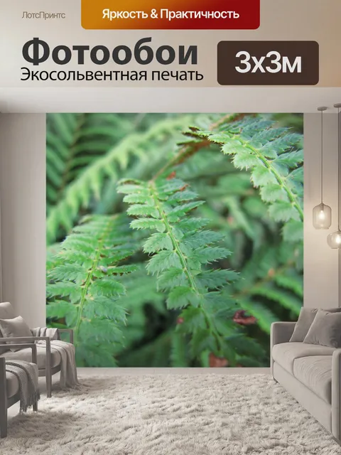 Фотообои Листьев папоротника