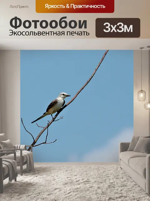 Фотообои Мухоловка с ножницами на синем