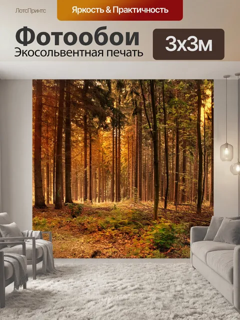 Фотообои Лес