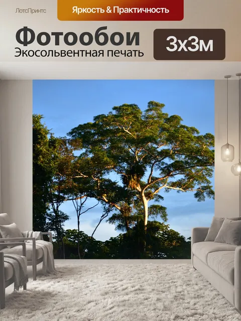 Фотообои Природа
