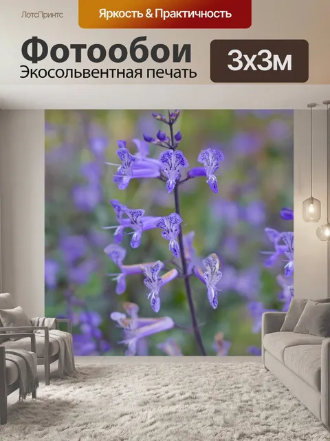 Фотообои Цветы