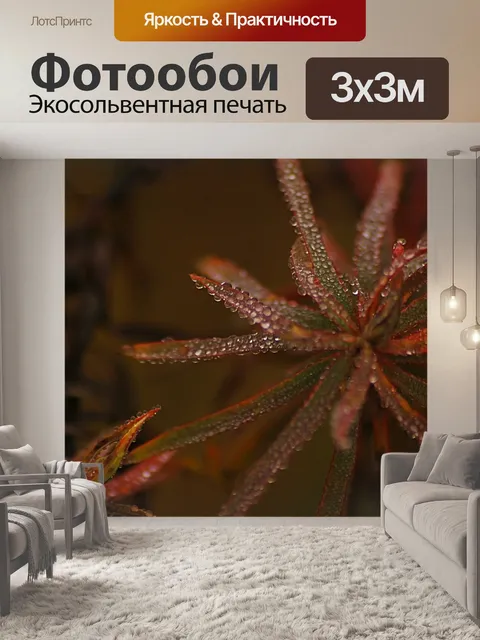 Фотообои Цветок