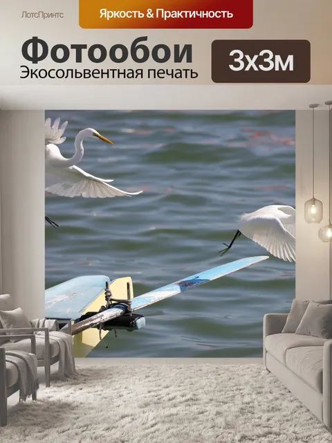 Фотообои Птица