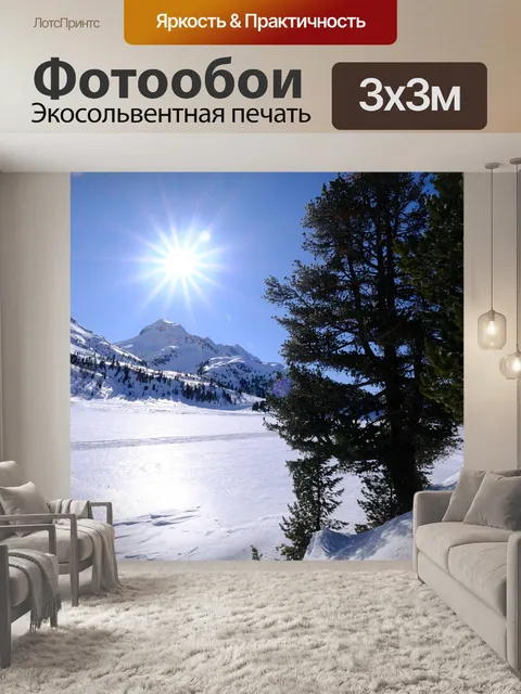 Фотообои Сосны