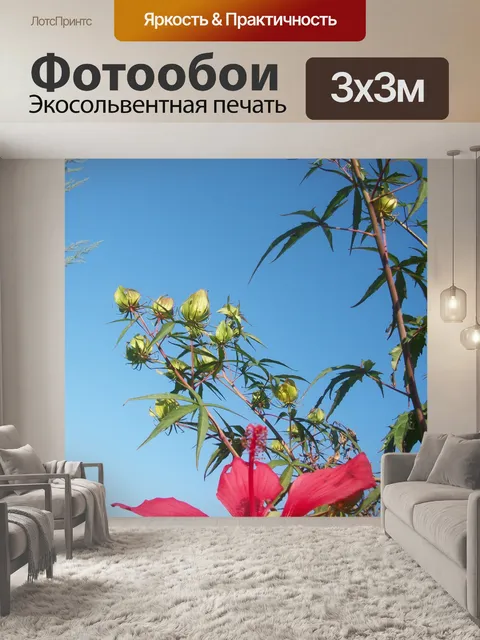 Фотообои Цветы и небо
