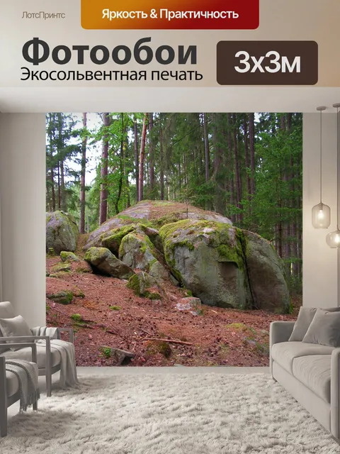 Фотообои Лес
