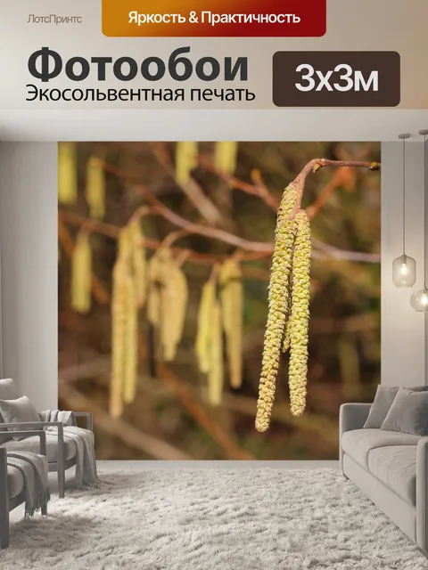 Фотообои Расцветает