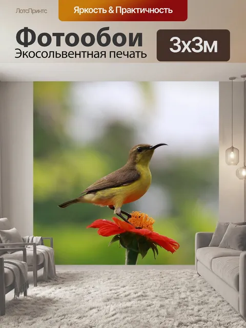Фотообои Цветок