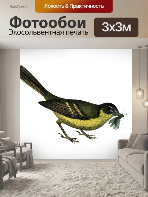 Фотообои птица старинные картинки