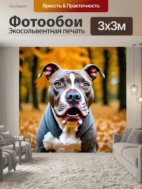 Фотообои Крупный план головы собаки породы питбуль с серо-белым окрасом