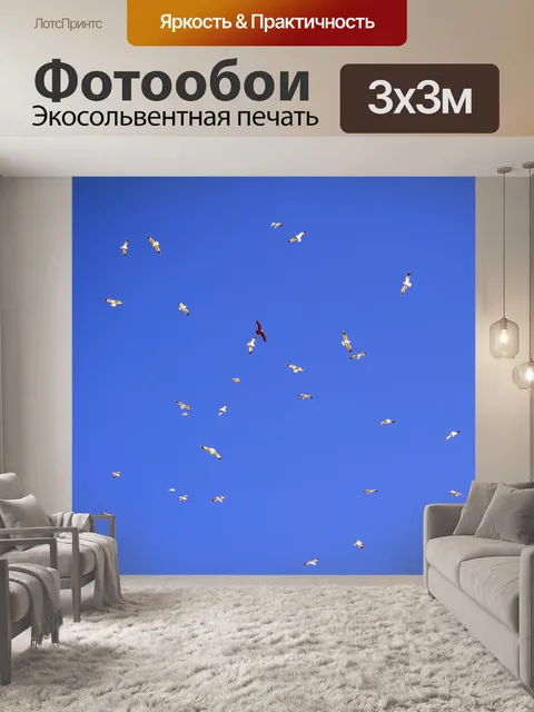 Фотообои стая птиц, летящих в небе