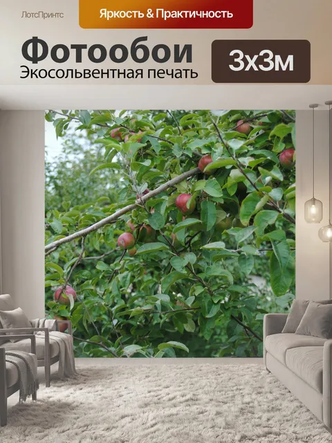 Фотообои Apple Tree