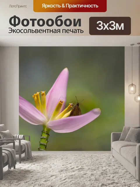 Фотообои Цветок