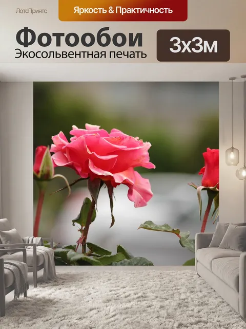 Фотообои Роза